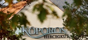 HOTEL KŐPOROS HERCEGKÚT****